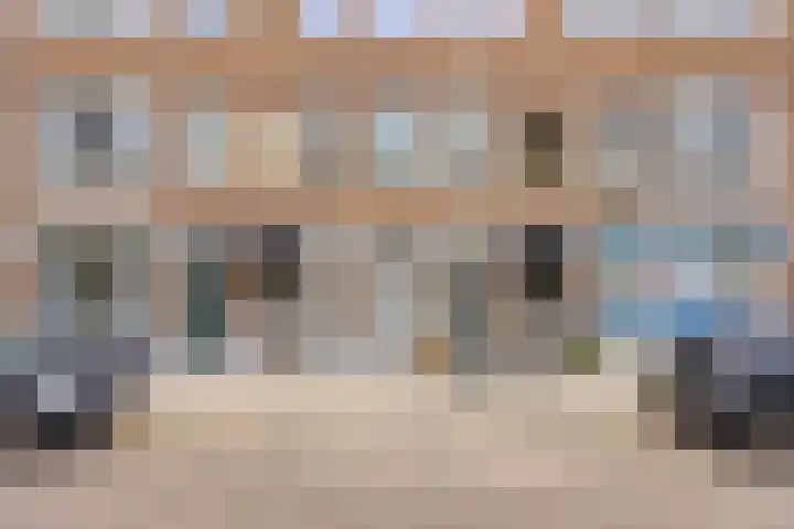 Swammerdamsingel 17 B Schiedam thumbnail 22