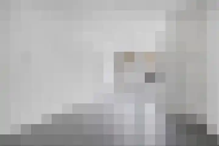 Swammerdamsingel 17 B Schiedam thumbnail 4