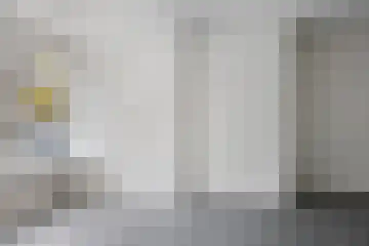 Swammerdamsingel 17 B Schiedam thumbnail 5