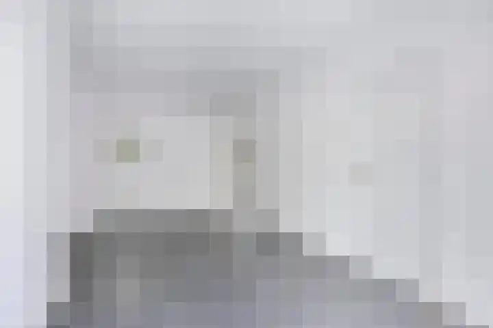 Swammerdamsingel 17 B Schiedam thumbnail 7