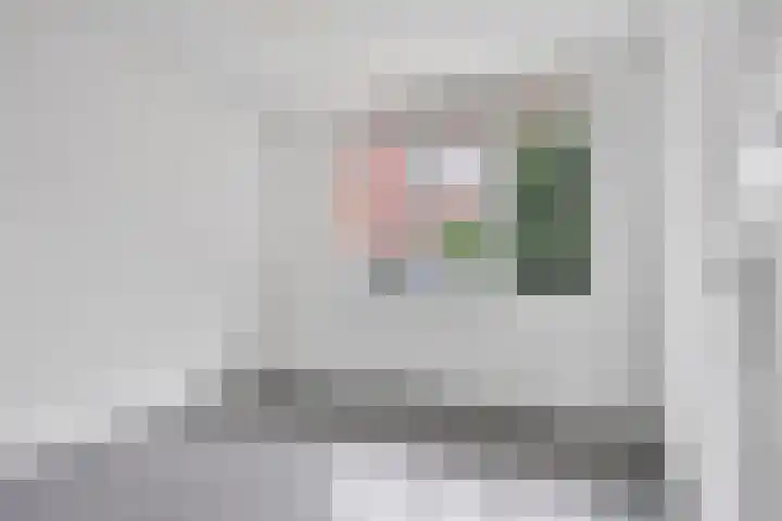 Swammerdamsingel 17 B Schiedam thumbnail 8
