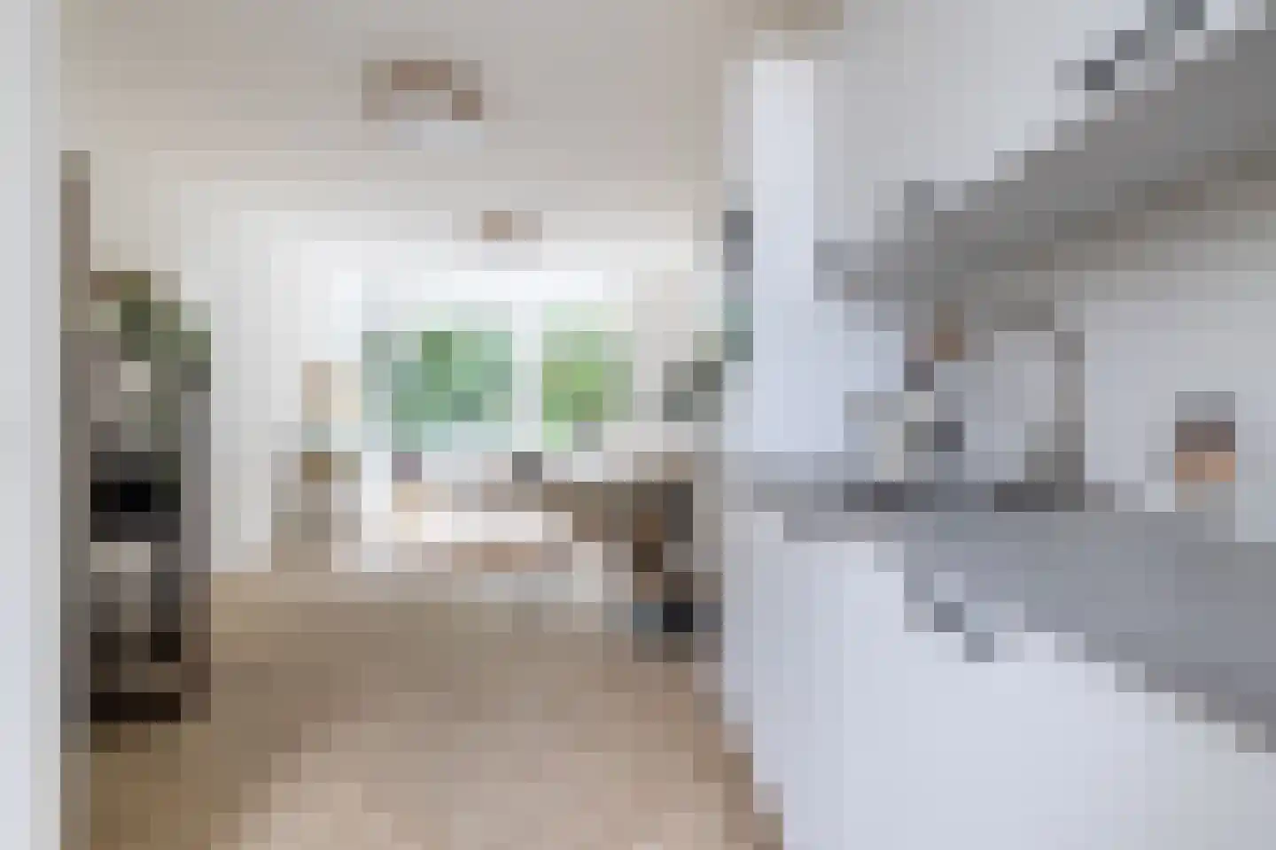 Swammerdamsingel 27 B 1 Schiedam thumbnail 19