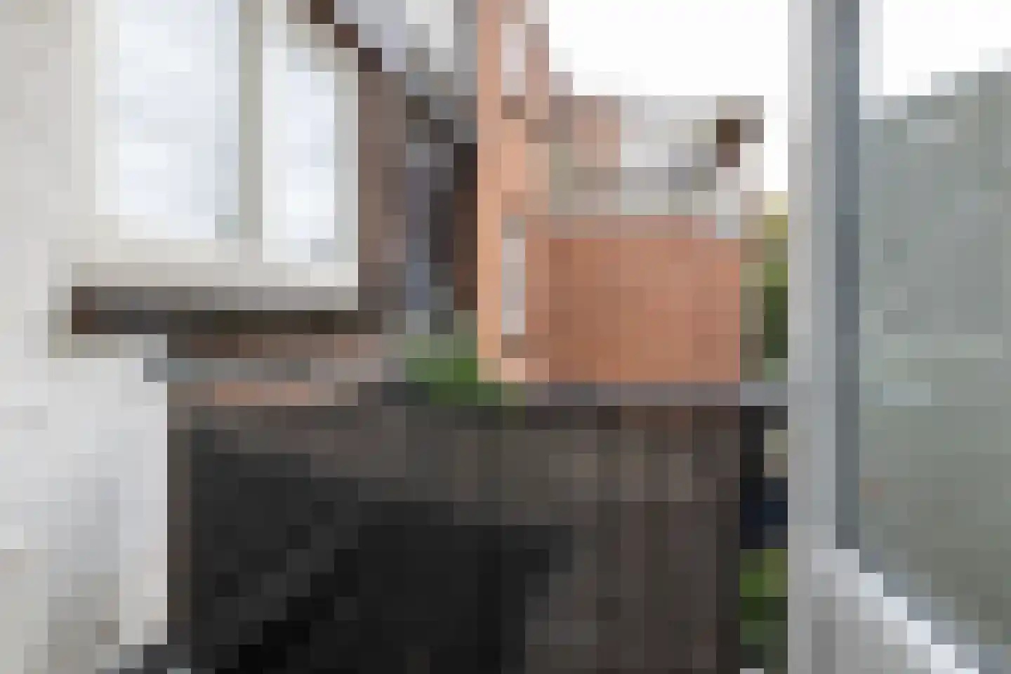 Swammerdamsingel 27 B 1 Schiedam thumbnail 24