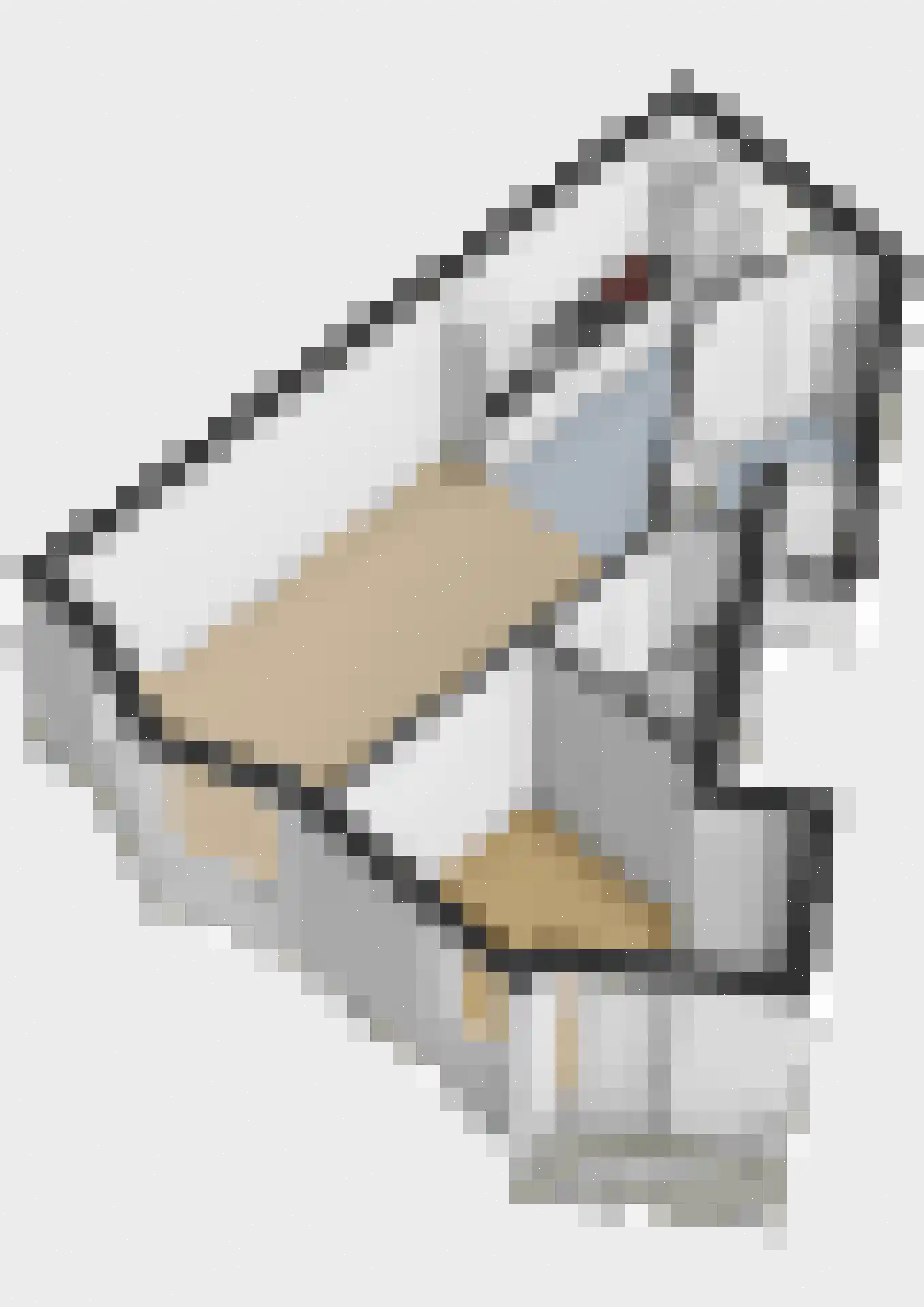 Swammerdamsingel 27 B 1 Schiedam thumbnail 37