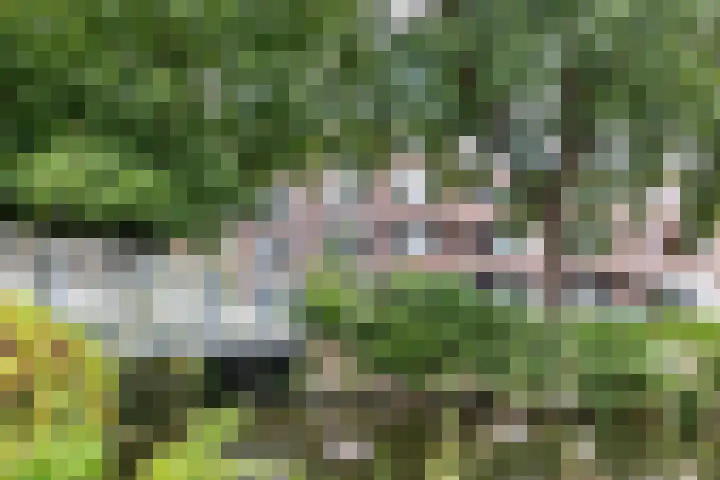 Swammerdamsingel 27 B 1 Schiedam thumbnail 5