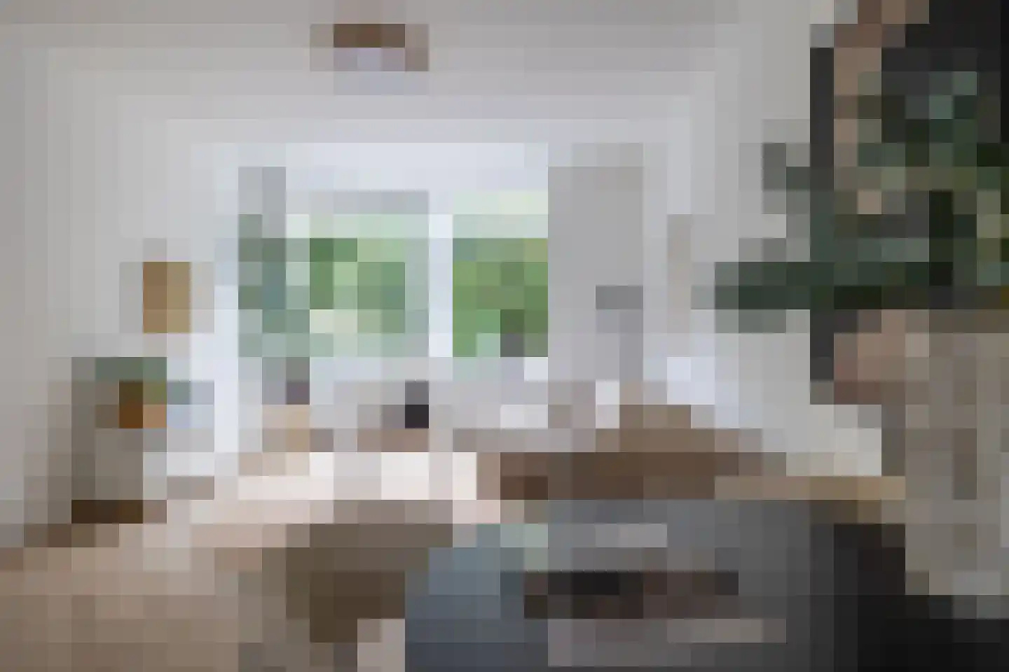 Swammerdamsingel 27 B 1 Schiedam thumbnail 9