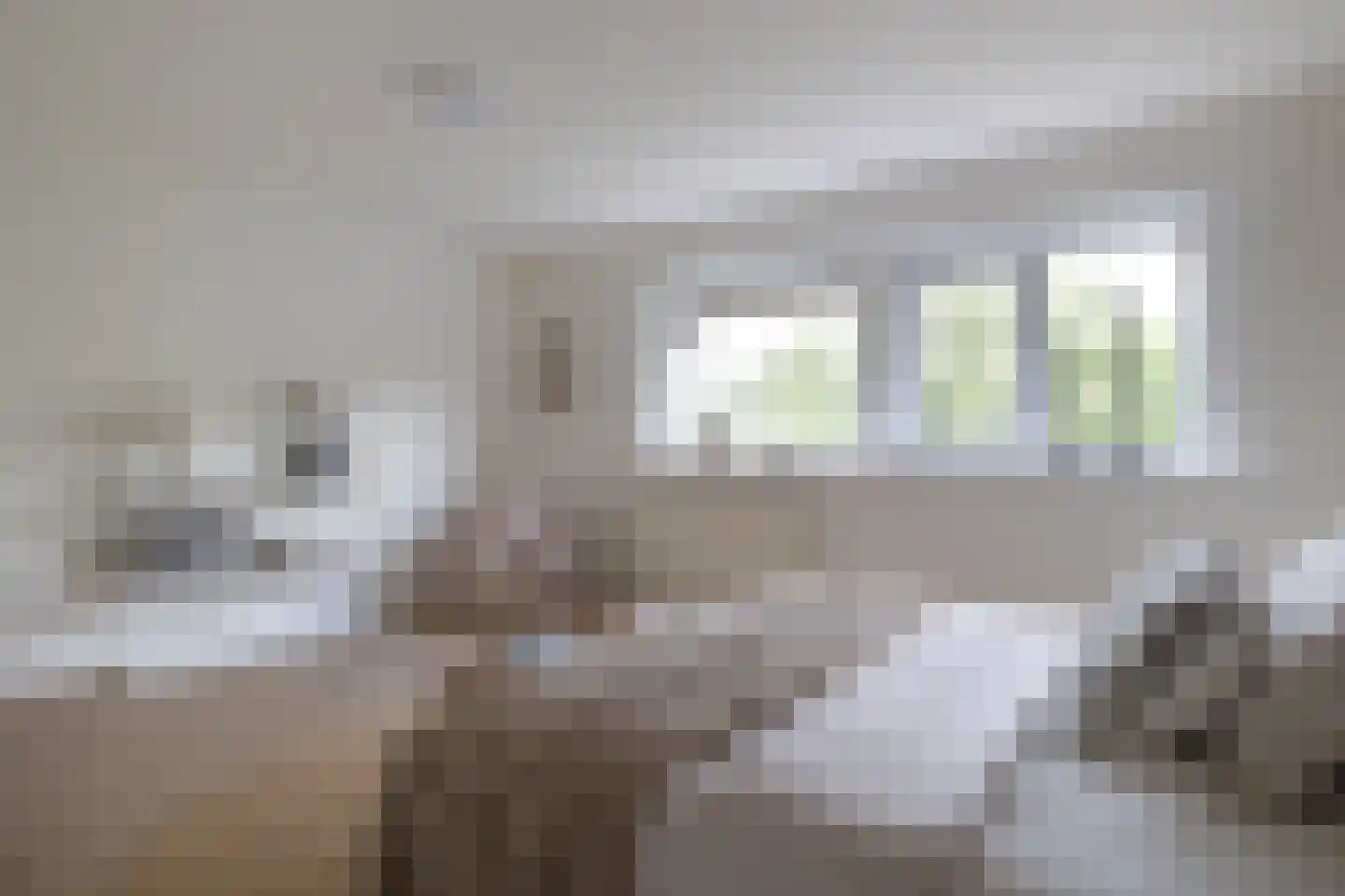 Swammerdamsingel 27 B 2 Schiedam thumbnail 28