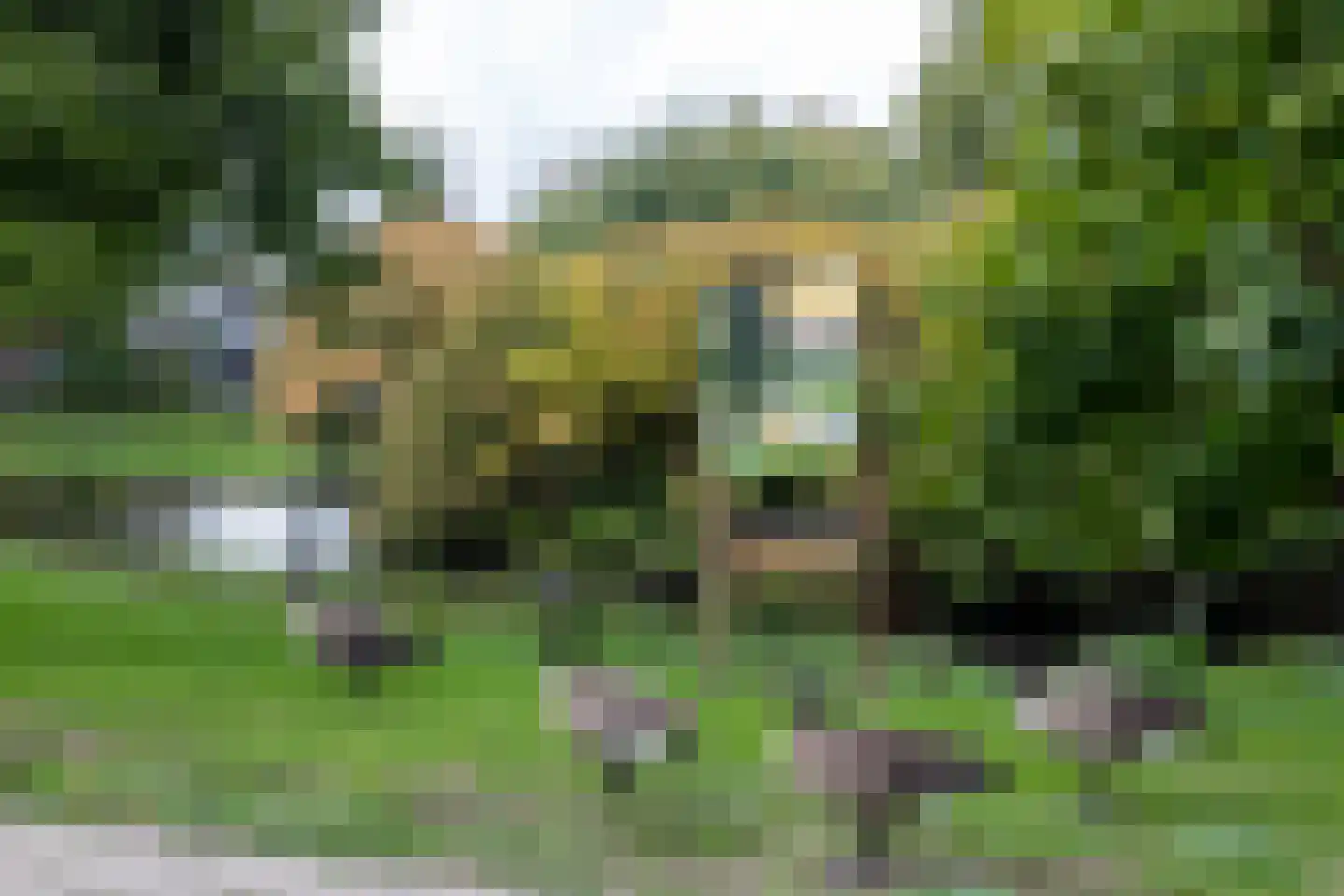 Swammerdamsingel 27 B 2 Schiedam thumbnail 34