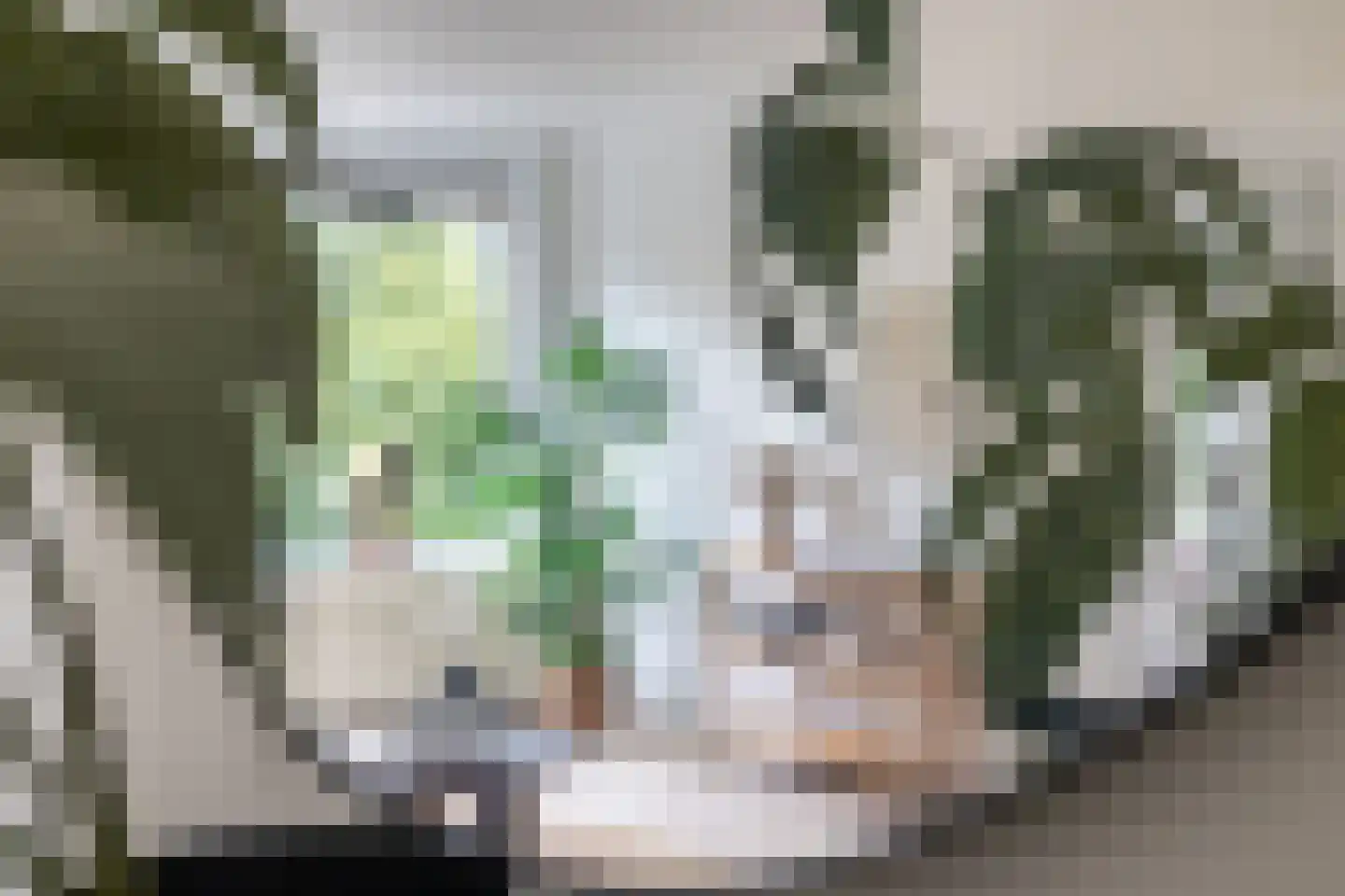 Swammerdamsingel 27 B 2 Schiedam thumbnail 5