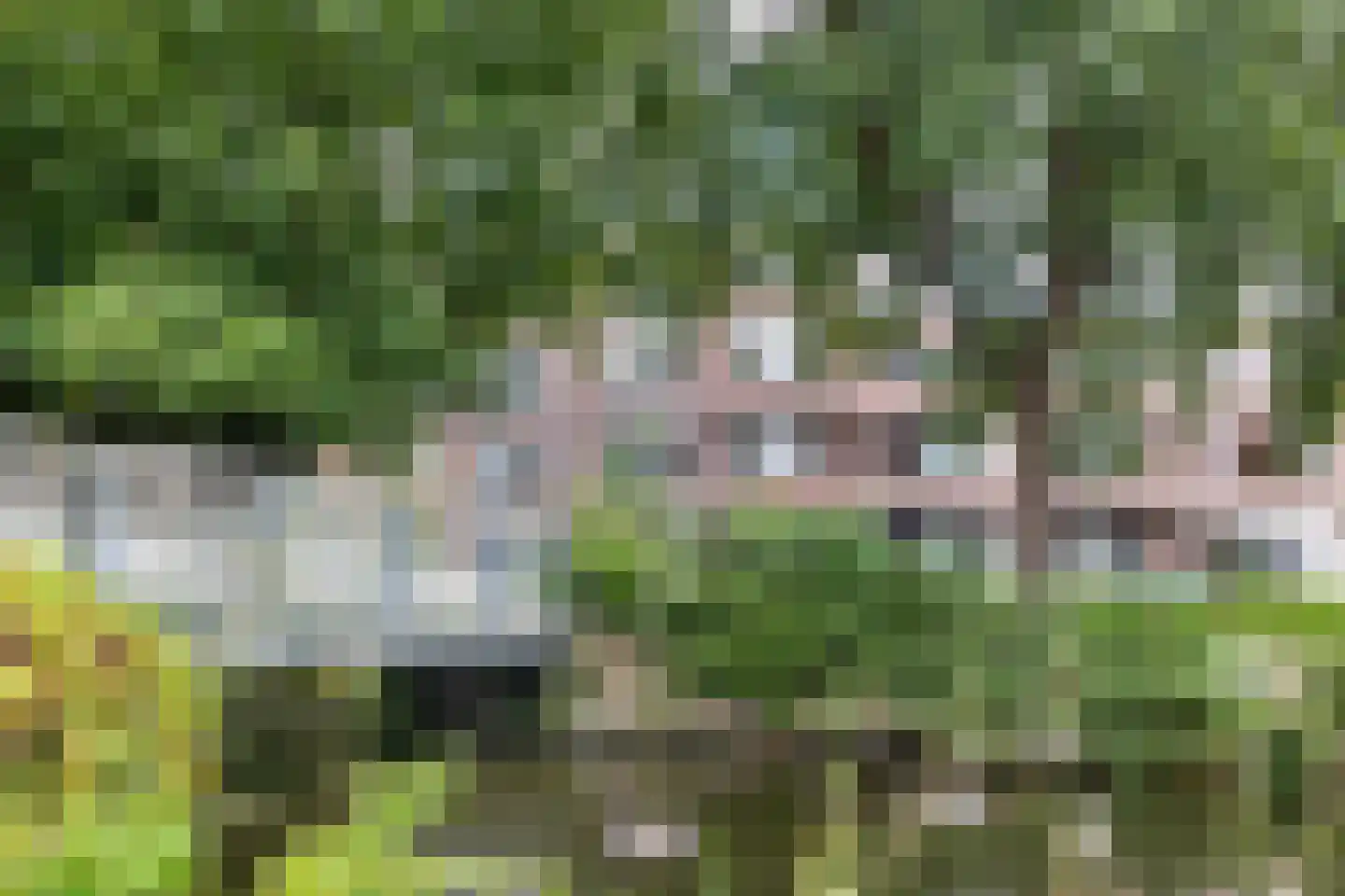 Swammerdamsingel 27 B 2 Schiedam thumbnail 6