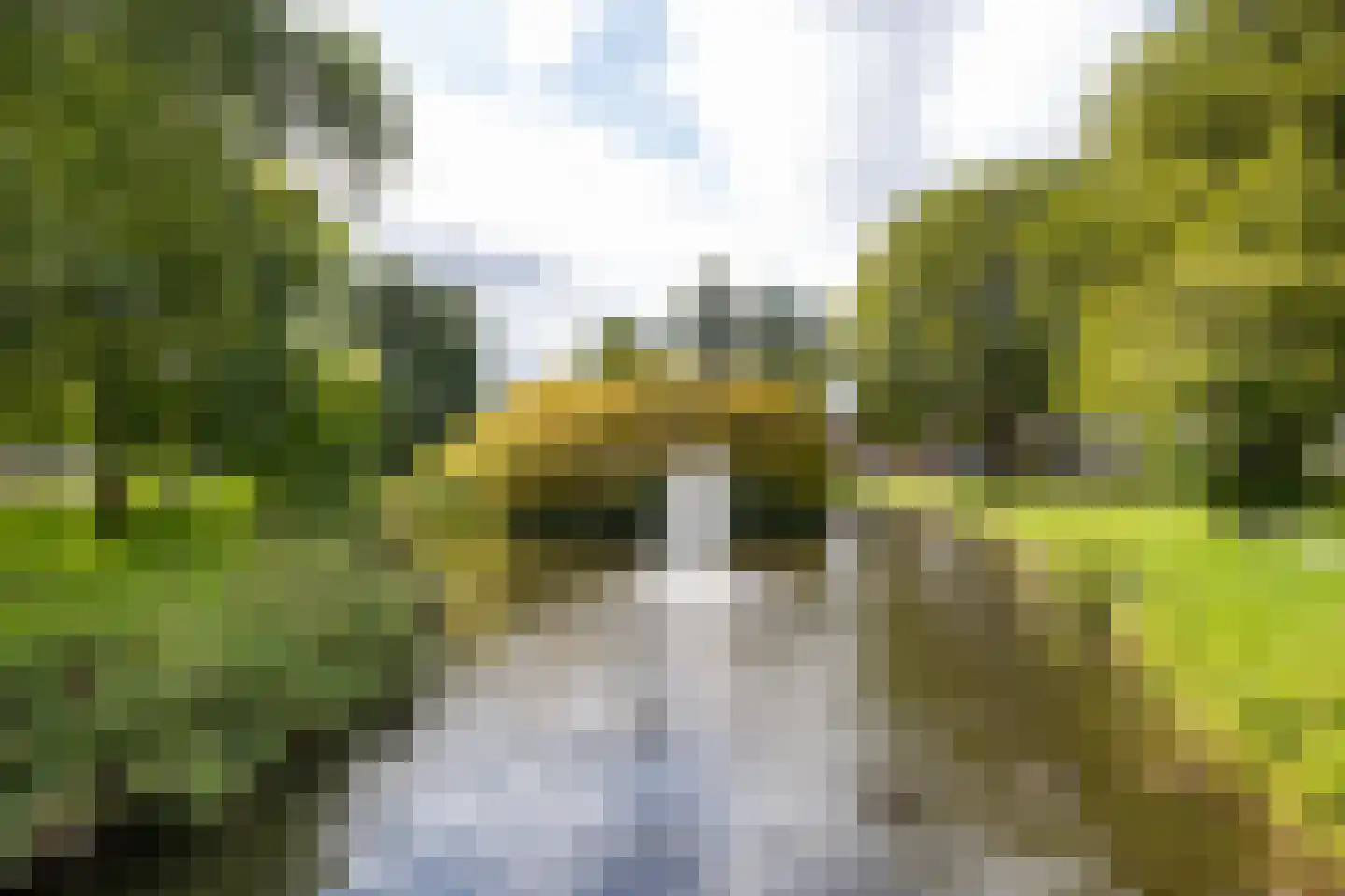 Swammerdamsingel 27 B 2 Schiedam thumbnail 7