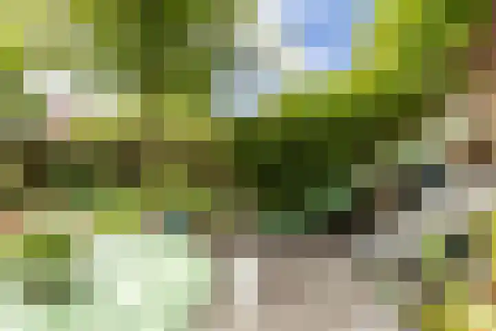 Swammerdamsingel 45 Schiedam thumbnail 21