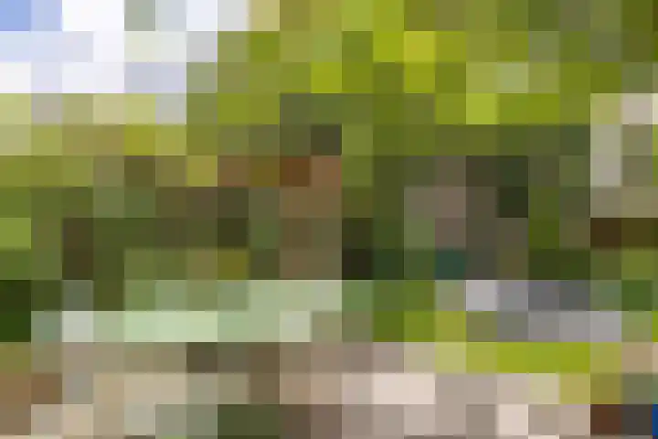 Swammerdamsingel 45 Schiedam thumbnail 24