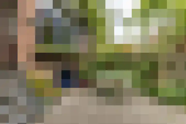 Swammerdamsingel 45 Schiedam thumbnail 26