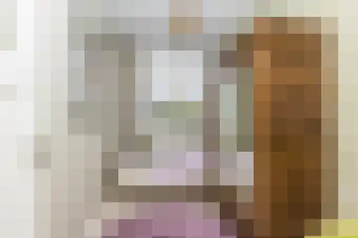 Swammerdamsingel 45 Schiedam thumbnail 38