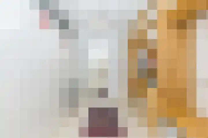 Swammerdamsingel 45 Schiedam thumbnail 39