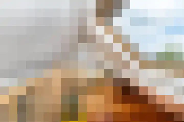 Swammerdamsingel 45 Schiedam thumbnail 45