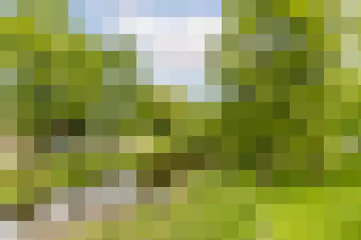 Swammerdamsingel 45 Schiedam thumbnail 49