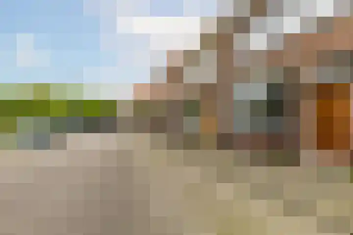 Swammerdamsingel 45 Schiedam thumbnail 50