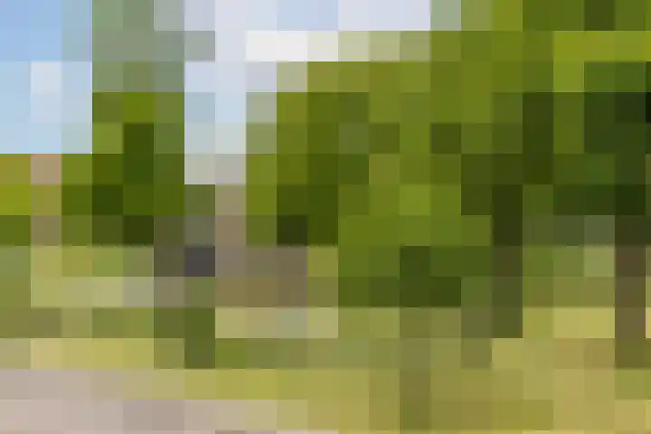 Swammerdamsingel 45 Schiedam thumbnail 53