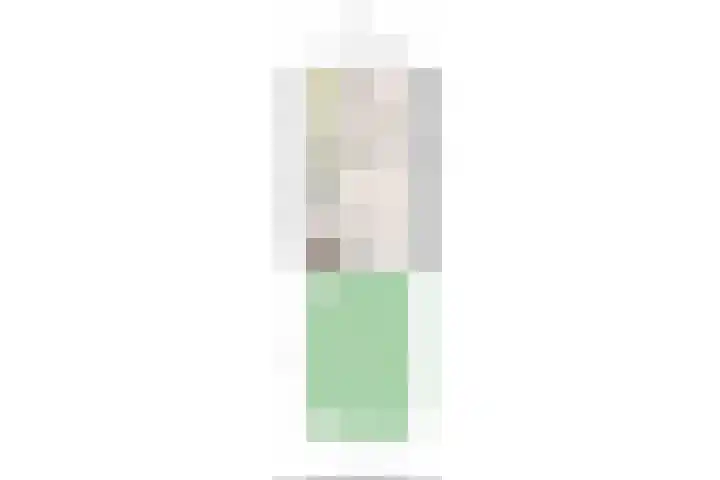Swammerdamsingel 45 Schiedam thumbnail 55