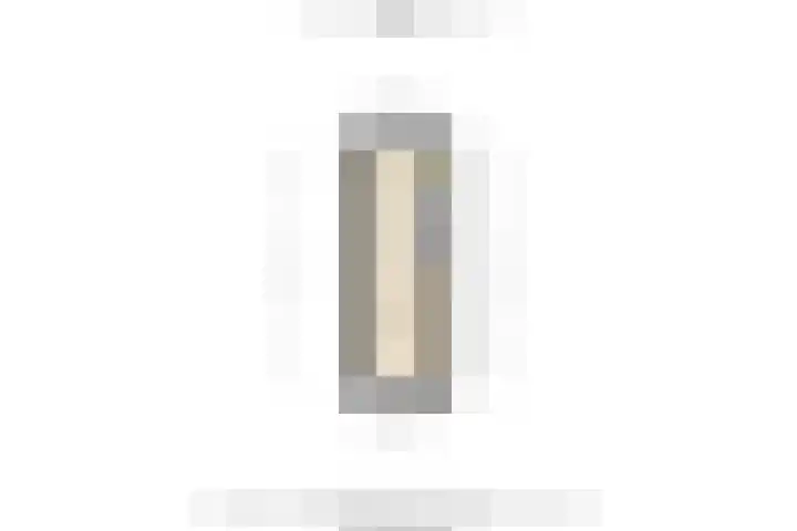 Swammerdamsingel 45 Schiedam thumbnail 59