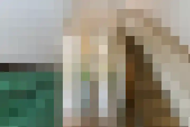 Swammerdamsingel 45 Schiedam thumbnail 8