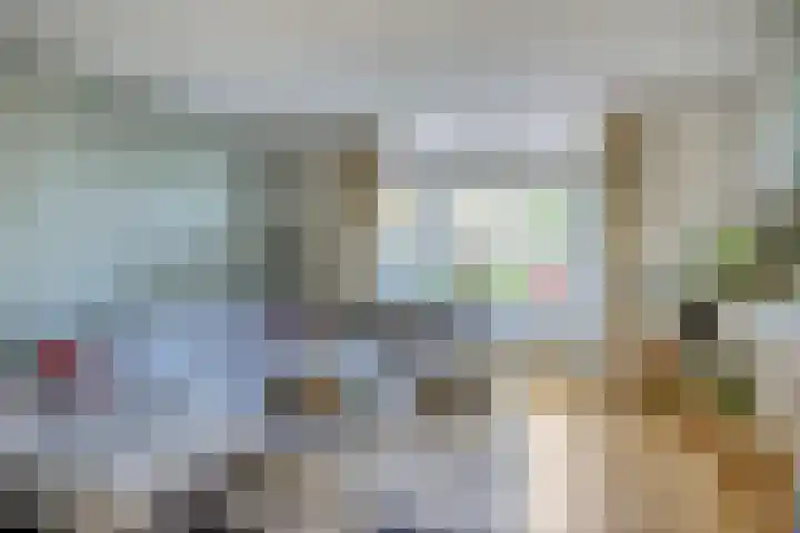 Swammerdamsingel 73 B Schiedam thumbnail 11