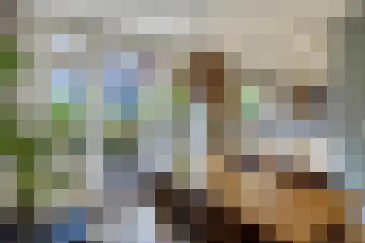Swammerdamsingel 73 B Schiedam thumbnail 12
