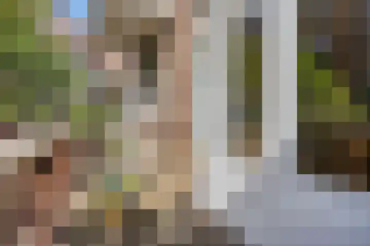 Swammerdamsingel 73 B Schiedam thumbnail 22