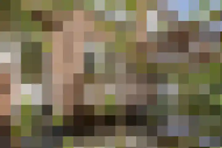Swammerdamsingel 73 B Schiedam thumbnail 27