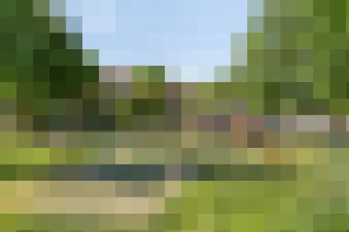 Swammerdamsingel 73 B Schiedam thumbnail 30