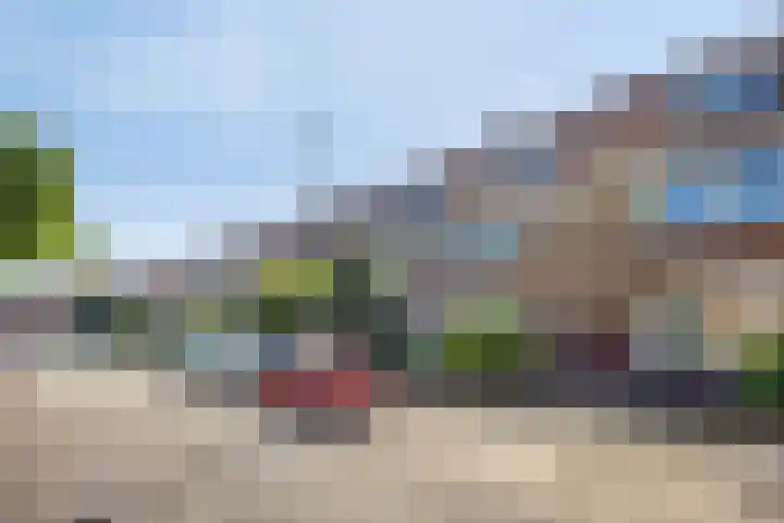 Swammerdamsingel 73 B Schiedam thumbnail 35