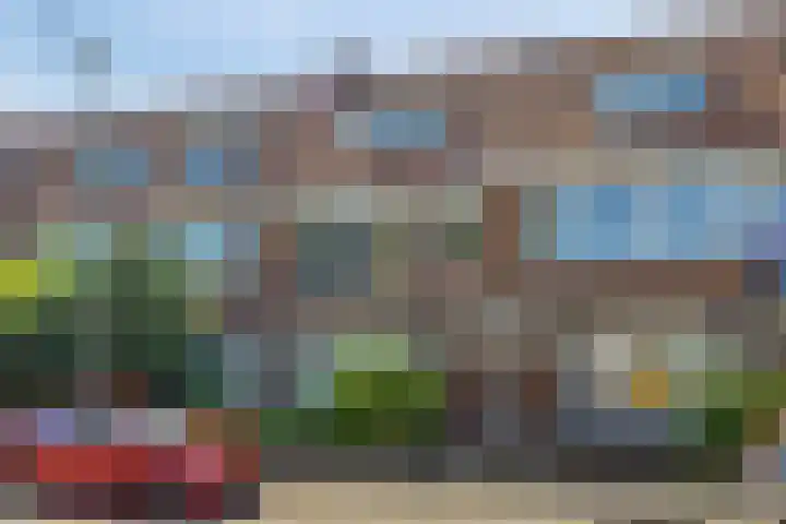 Swammerdamsingel 73 B Schiedam thumbnail 39
