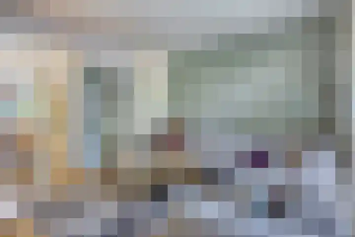 Swammerdamsingel 73 B Schiedam thumbnail 4
