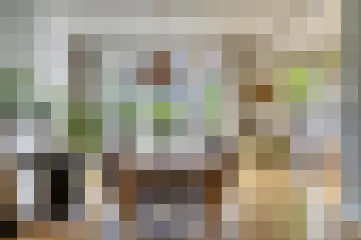 Swammerdamsingel 73 B Schiedam thumbnail 5