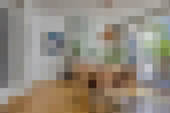 Swammerdamsingel 73 B Schiedam thumbnail 6