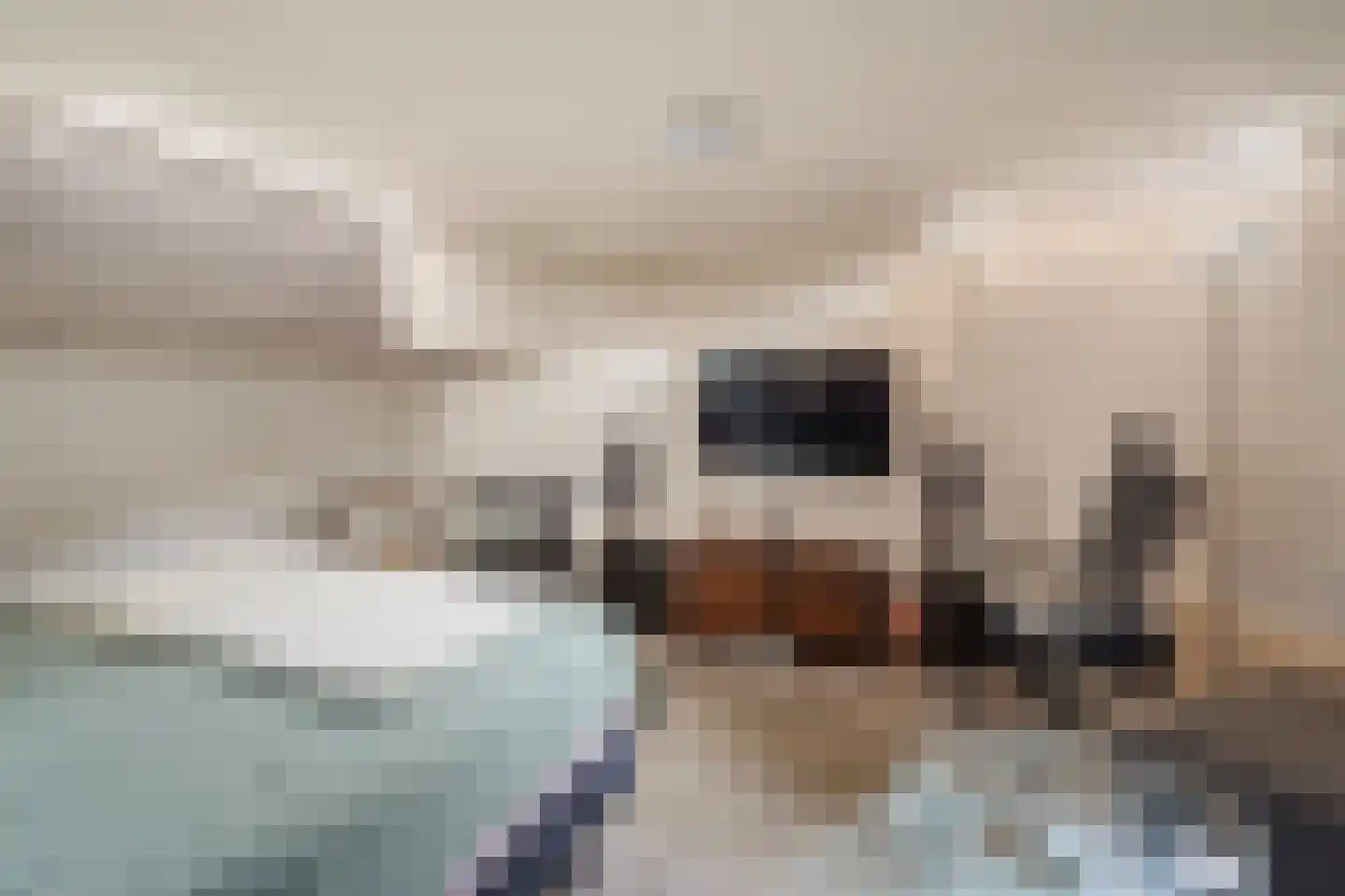 Swammerdamsingel 79 Schiedam thumbnail 31