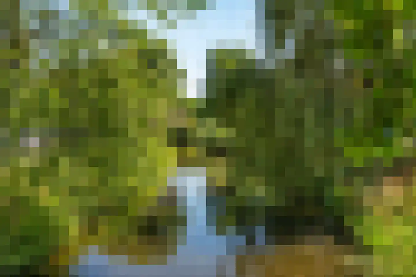 Swammerdamsingel 79 Schiedam thumbnail 33