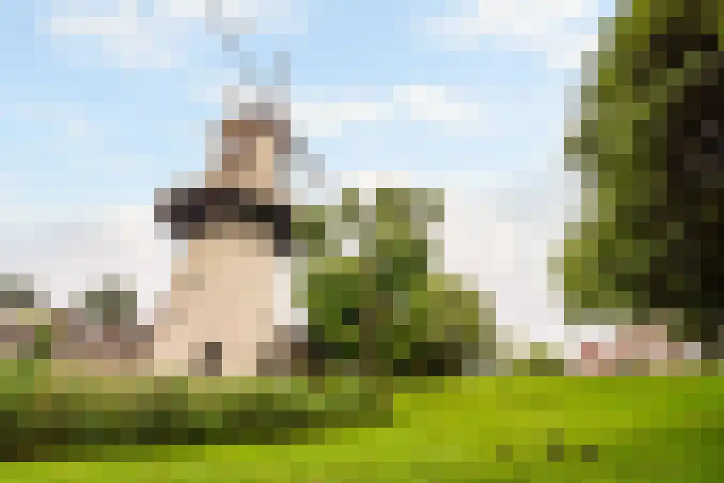 Swammerdamsingel 79 Schiedam thumbnail 35