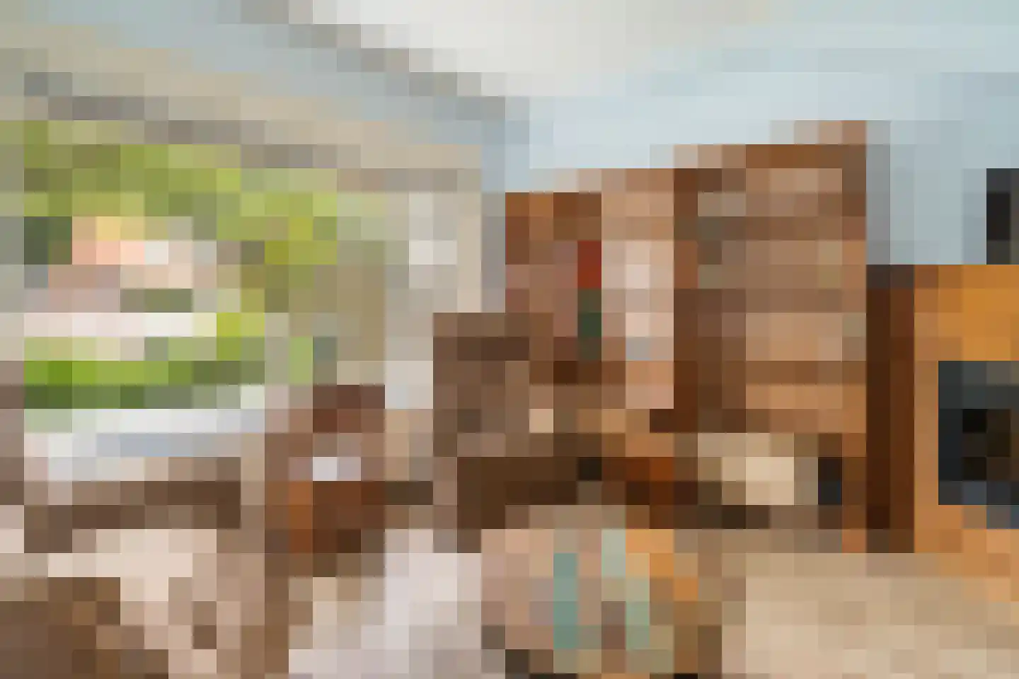 Swammerdamsingel 79 Schiedam thumbnail 4