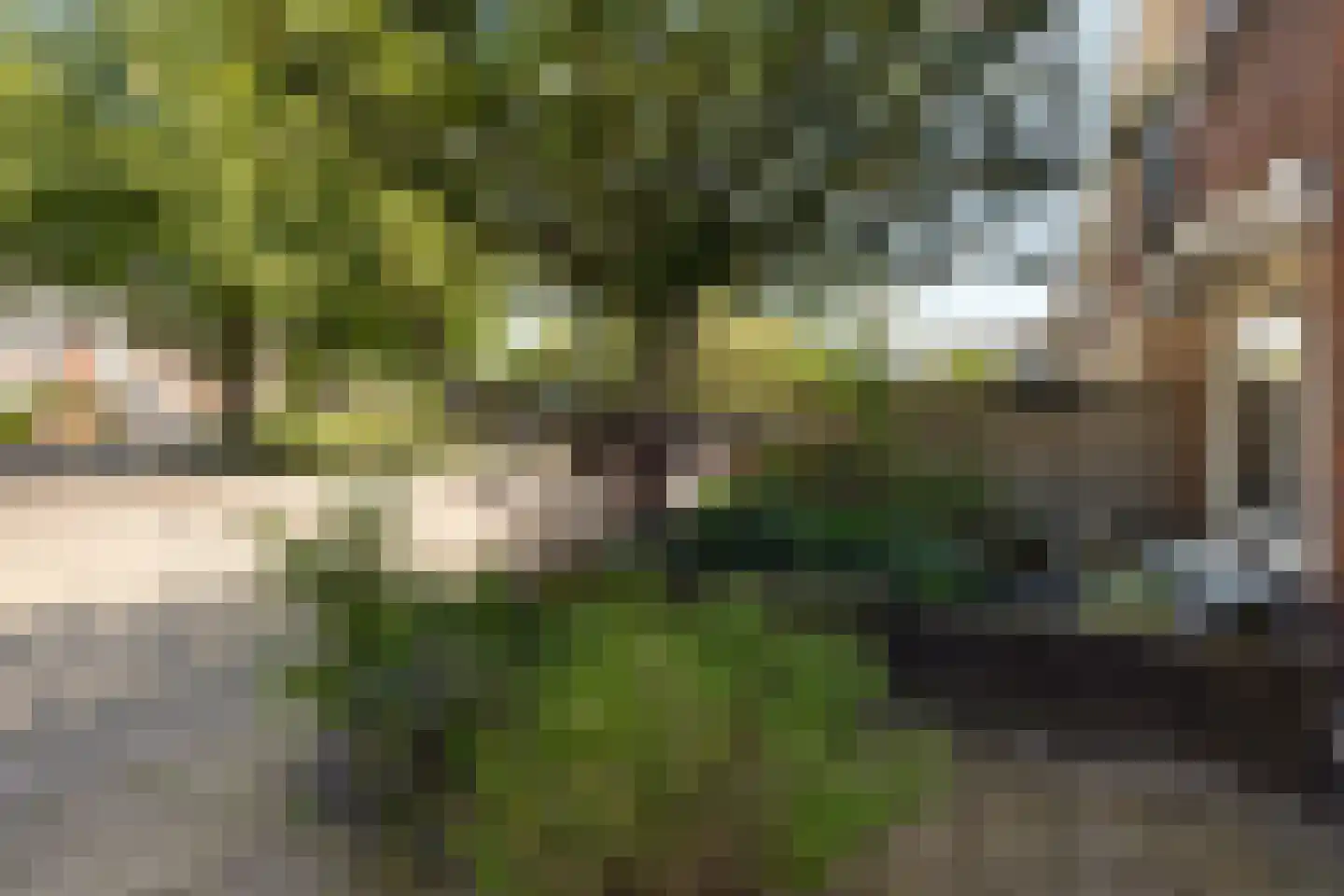 Swammerdamsingel 79 Schiedam thumbnail 7