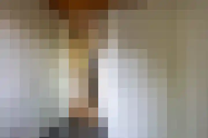 Swammerdamstraat 1 A Badhoevedorp thumbnail 17