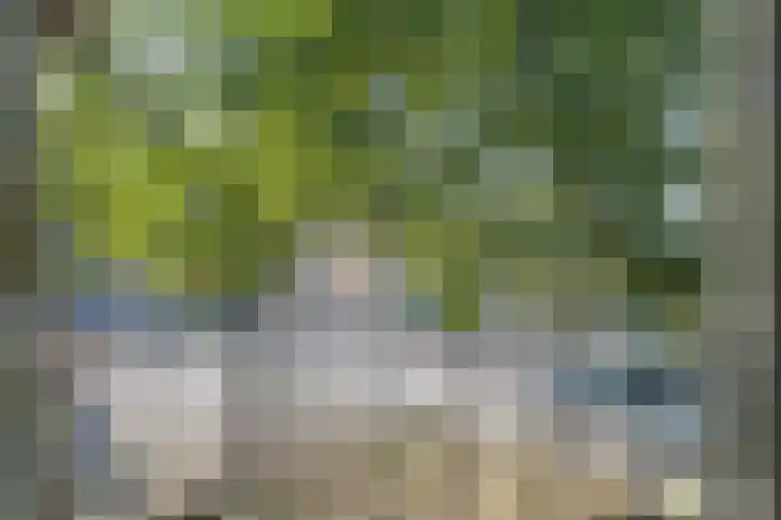 Swammerdamstraat 1 A Badhoevedorp thumbnail 22