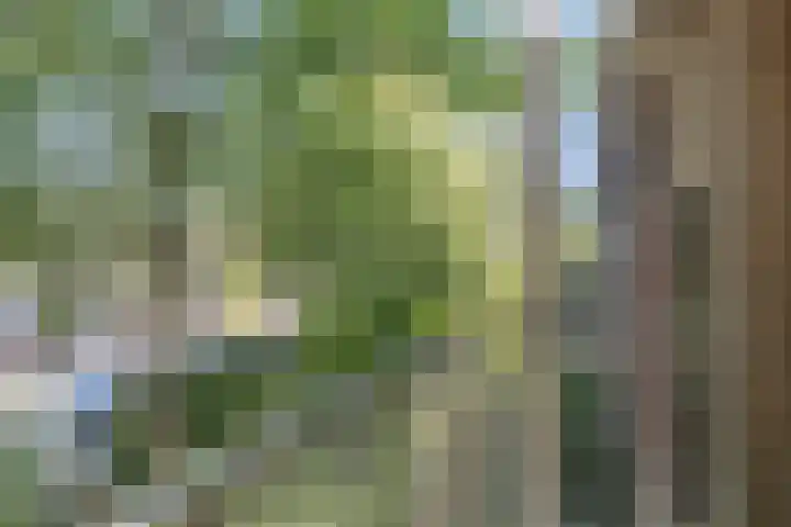 Swammerdamstraat 1 A Badhoevedorp thumbnail 23