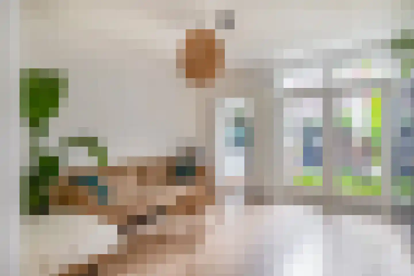 Swammerdamstraat 18 Utrecht thumbnail 13