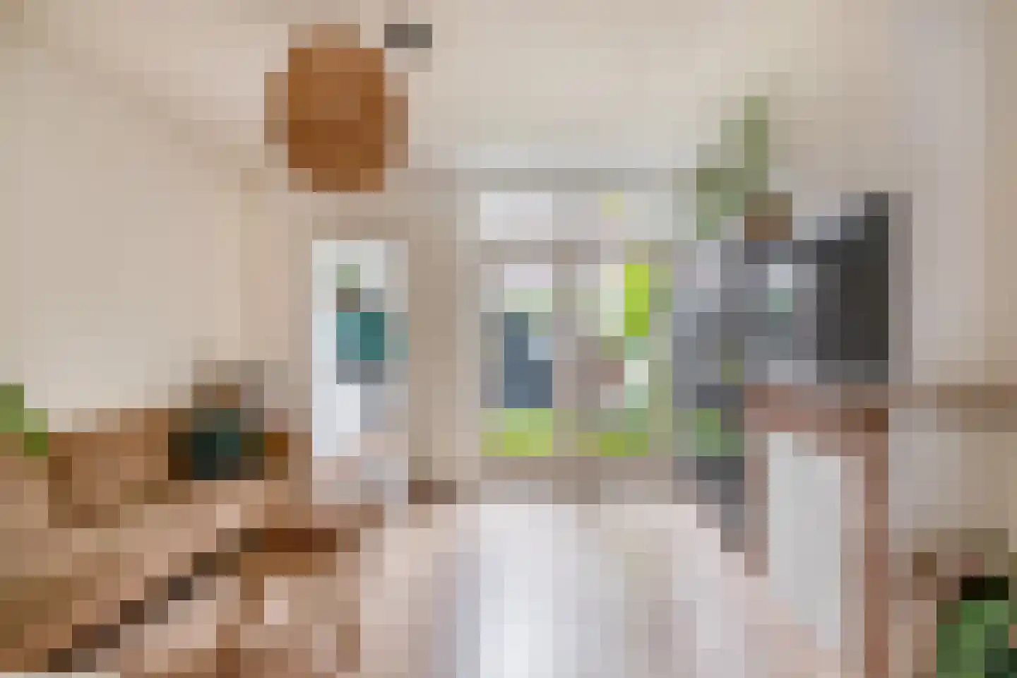 Swammerdamstraat 18 Utrecht thumbnail 19