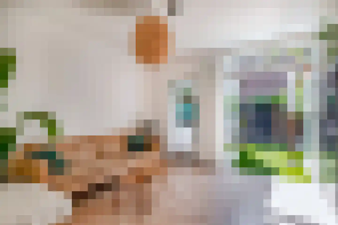 Swammerdamstraat 18 Utrecht thumbnail 21