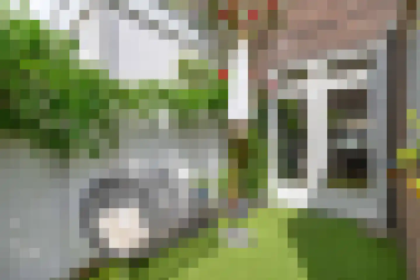 Swammerdamstraat 18 Utrecht thumbnail 24
