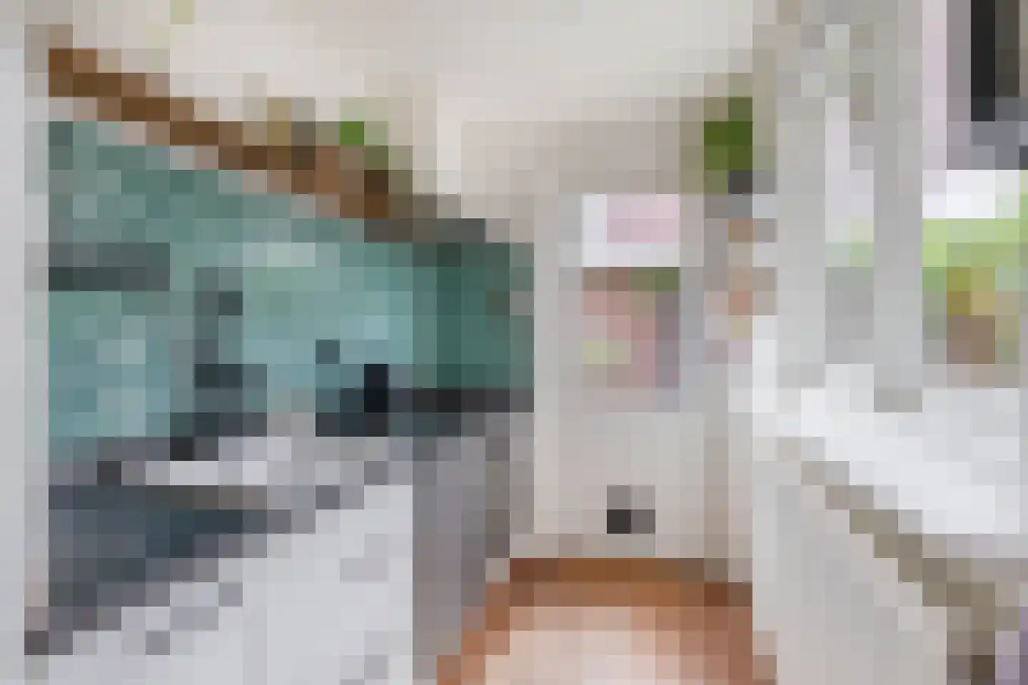 Swammerdamstraat 18 Utrecht thumbnail 25